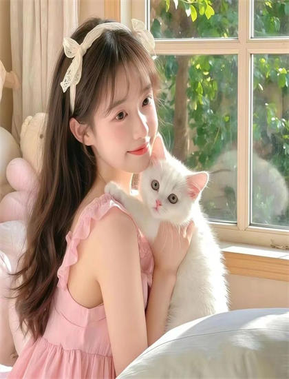 《桃花坞2社交笔记》有哪些精彩看点？亮点情节详细解析